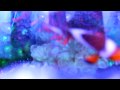 videos de Another VIdeo of My Reef tank with the Pump turned off