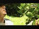 Los Paizaz de Guanacevi - Te Amo y Te Amo