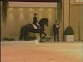 GOFFERT 369 Tribute (KFPS Friesian Stallion)