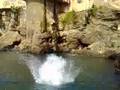 videos de rochet de mort