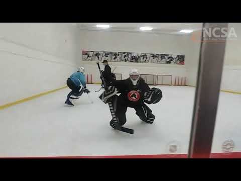 Jake Agoglia 2020-2021 Goalie Skills