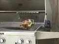 AOG Gas Grill Chicken Grilling Video