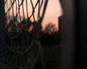 mini35 test 3