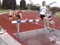 Comedy steeplechase