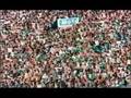 1911 a 2008- História Guarani Futebol Clube