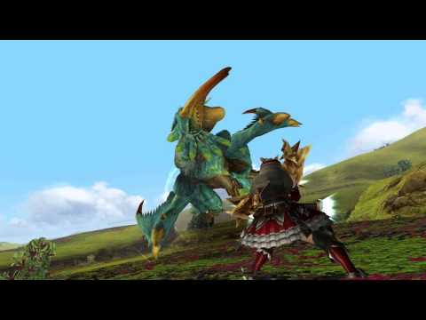 動画
