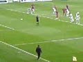 boruc stops sheep