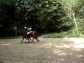 galop sormani moumina