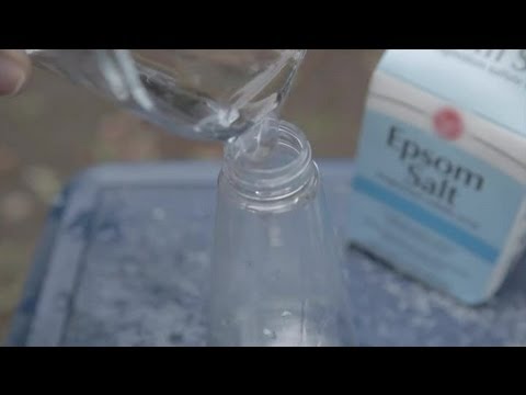 how to fertilize bell peppers