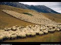 Pink Floyd 1974 Raving and Drooling (aka Sheep) 2 of 2