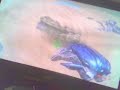 halo3 glitches (flip eliphant and floating turret)