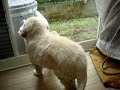 COCO??????? ( COCO\