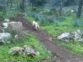 MOV00494