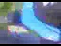 Stuntman School (Elswick Jackass)