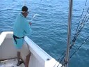 videos de Catching a Bull Shark