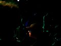 Bongzilla Live in New York 2004