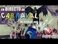 ver trabalho Direto - Carnaval da Mealhada 2014