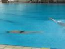 Idiots at KSAS pool