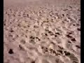 Run Away Run Away!!!