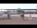 First Week of West World 10/19/08 (equitation) First Week of West World 10/19/08 (equitation)