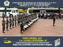OSOS GRISES SLP, (70 ANIVERSARIO PDMU DF) OSOS GRISES SLP, (70 ANIVERSARIO PDMU DF)