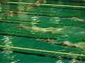 finswimming 200 men Italian Championship