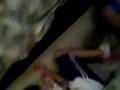 videos de The Dark Knight Spoof (2)