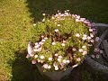 il giardino acquatico più tamarro del mondo - primo giorno