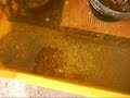 il giardino acquatico più tamarro del mondo - primo giorno