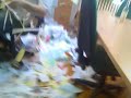 Fiktivni firma
