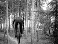 haldon freeride