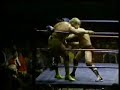 hulk hogan vs nick bockwinkel  title match 