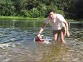 Swimming Pug - Howey Swimming Pug - Howey