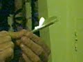Cannabis Backflip N Suck