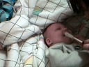 JOSHUA!!!.wmv JOSHUA!!!.wmv