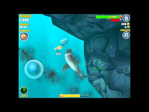 Ракушки Для Мегалодона В Hungry Shark Evolution