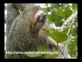 Manu Adventure :: http://www.andex-adventure.comManu National Park, Peru.