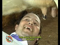 MAMANDO NA VACA MAMANDO NA VACA