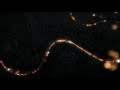 Pour les fêtes éclatez-vous, mais pas sur la route