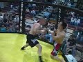 MMA Cage Fight 2 MMA Cage Fight 2