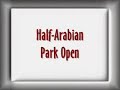 US Half-Arabian Park Horse Open Final