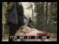 Demo Reel of Zolt�n Buday, Yet So Unreal. (MP4)