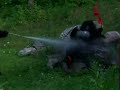 EXTREMELY POWERFUL BIGFOOT EVIDENCE EXTREMELY POWERFUL BIGFOOT EVIDENCE