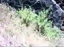 Presa de Las Niñas 22 06 08  3 3 