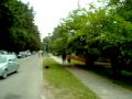 2009 07 27 minant is Nidos video