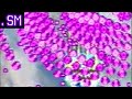 Mushihimesama - Arrange - True Last Boss