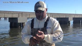 DockSide TV    