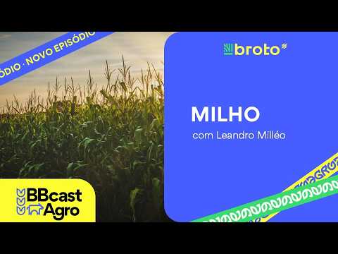 Milho: Pro Farmer reduz estimativa de produtividade nos EUA e preços avançam | BBCast Agro