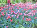 Monet\ Monet\