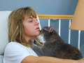 Cat Massage